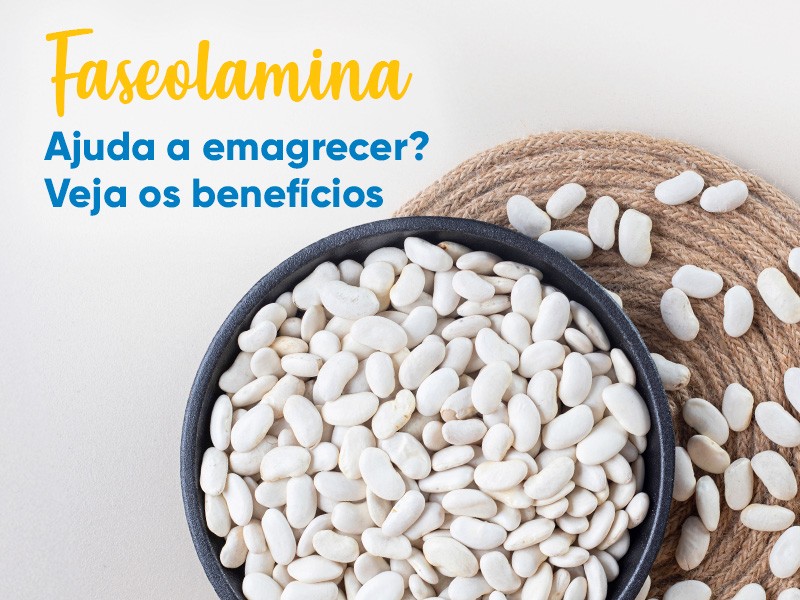 Faseolamina ajuda a emagrecer? Entenda o que  e os benefcios desse fitoterpico!